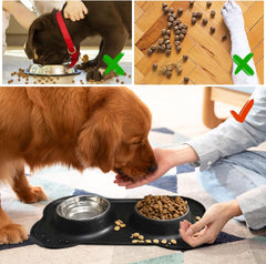 Pet Dog Bowls Set, 2 Stainless Steel No Spill Water Bowls for Dog, Water Feeder Bowls with Skid Resistant Silicone Mat, Dog Bowls Small Size Dog, Pet Puppy Bowls & Dog Dishes for Medium, Large Dogs