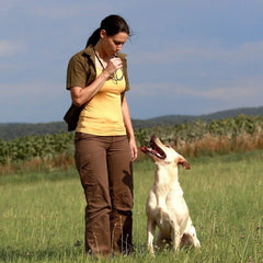 Multicolor Ultrasonic Dog Training Deterrent Whistle Dog Whistle to Stop Barking Bark Control Dogs Training Deterrent Whistle