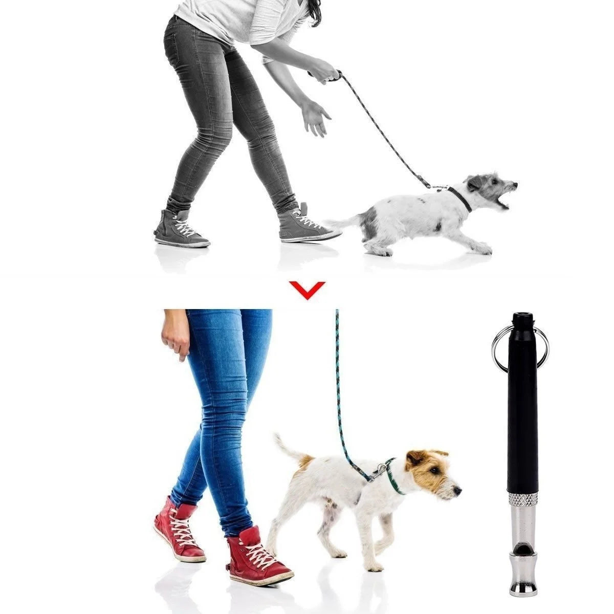 Multicolor Ultrasonic Dog Training Deterrent Whistle Dog Whistle to Stop Barking Bark Control Dogs Training Deterrent Whistle