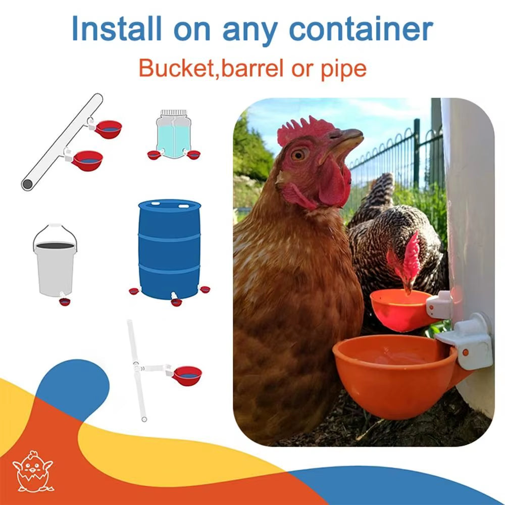 4PCS Poultry Kit Automatic Chicken Water Feeder Automatic Drinking Bowl Feeding Watering Supplie Chicken Waterer