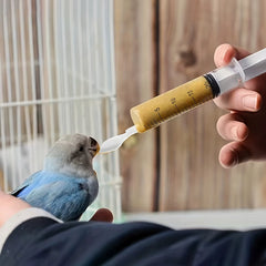 4Pcs-Bird Feeding Syringe, for Young Birds, Bird Feeding Aid Tool, Artificial Bird Feeder