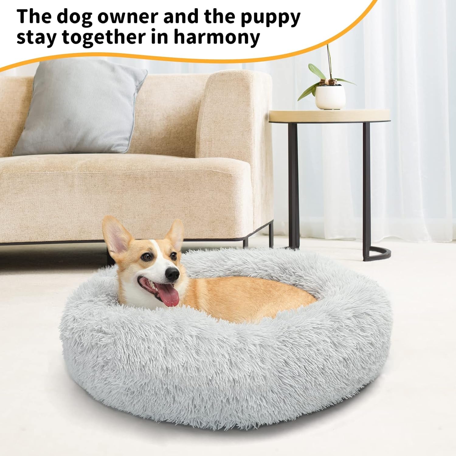 Dog Bed (Medium, Little Grey)