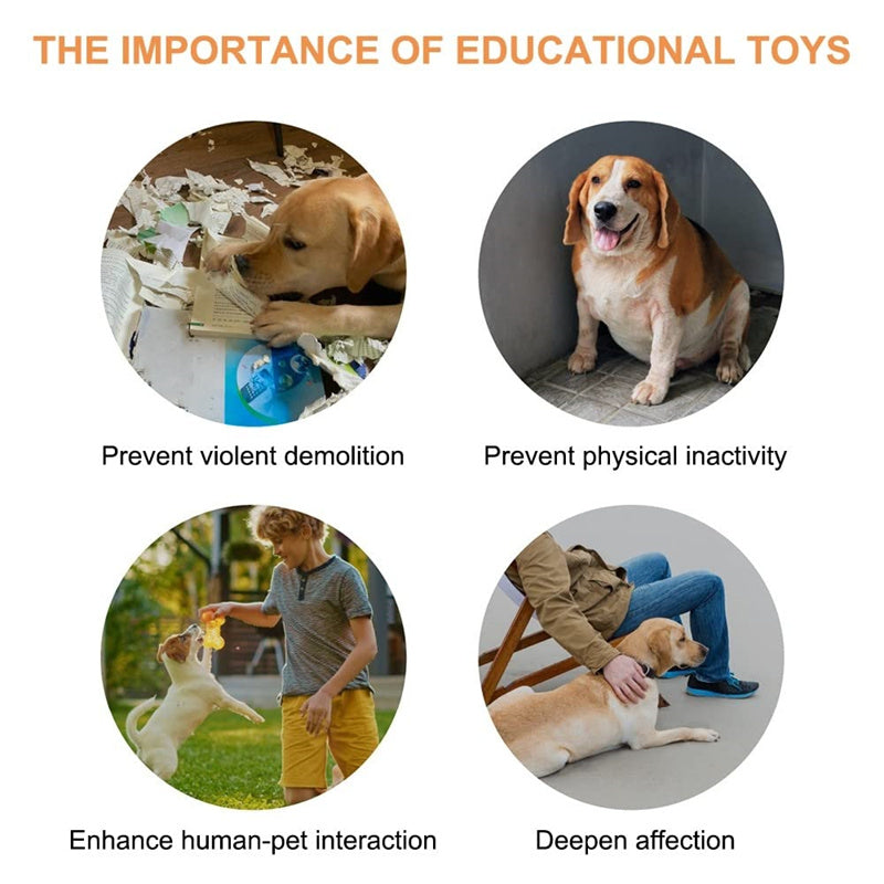 4 Colors Pet Communication Button One-Click Prevent Physical Inactivity Recordable Dog Talking Button Toy Cat Toy Pet Products