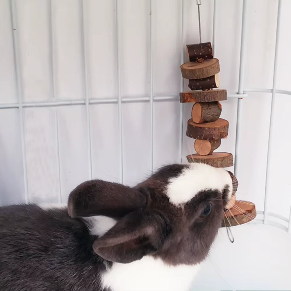 Pet Chew Toy Apple Wooden Material Tooth Grinding Toys for Hamster Chinchilla Rabbit Small Animals Pet Cage Pendant Rabbit Toys