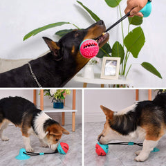 Dog Chew Toy with Suction Cup for Aggressive Chewers, Puppy Training Treats, Food Dispensing Ball, Pet Teeth Cleaning Rope Toys for Small Medium Dogs (Blue&Red)
