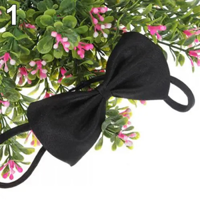 Cute 1 Piece Cute Solid Color Adjustable Pet Bow Tie Pet Dog Collar Bowknot Bow Ties Gentleman Dog Bow Tie Pet Supply